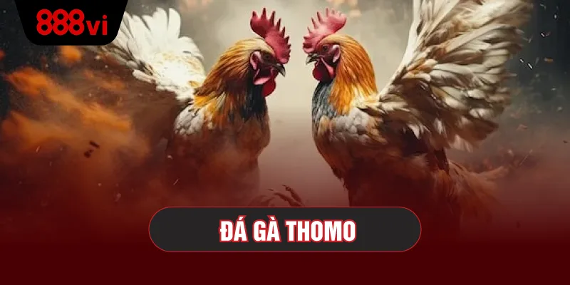 Lợi Ích Khi Tham Gia Đá Gà Thomo Tại 888VI